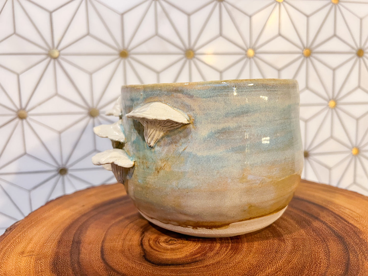 Oyster Mushroom Planter