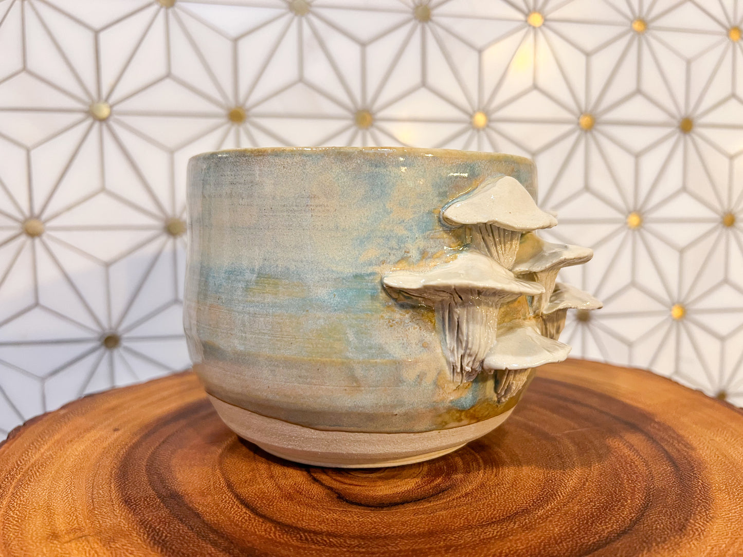Oyster Mushroom Planter