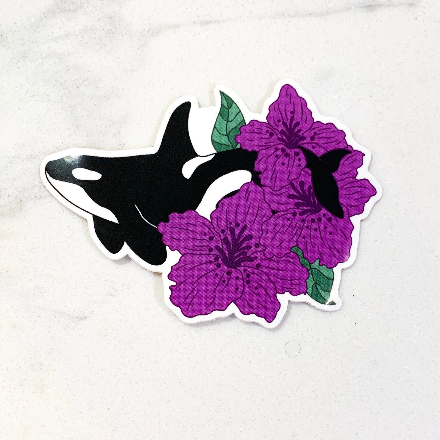 Orca Vinyl Sticker