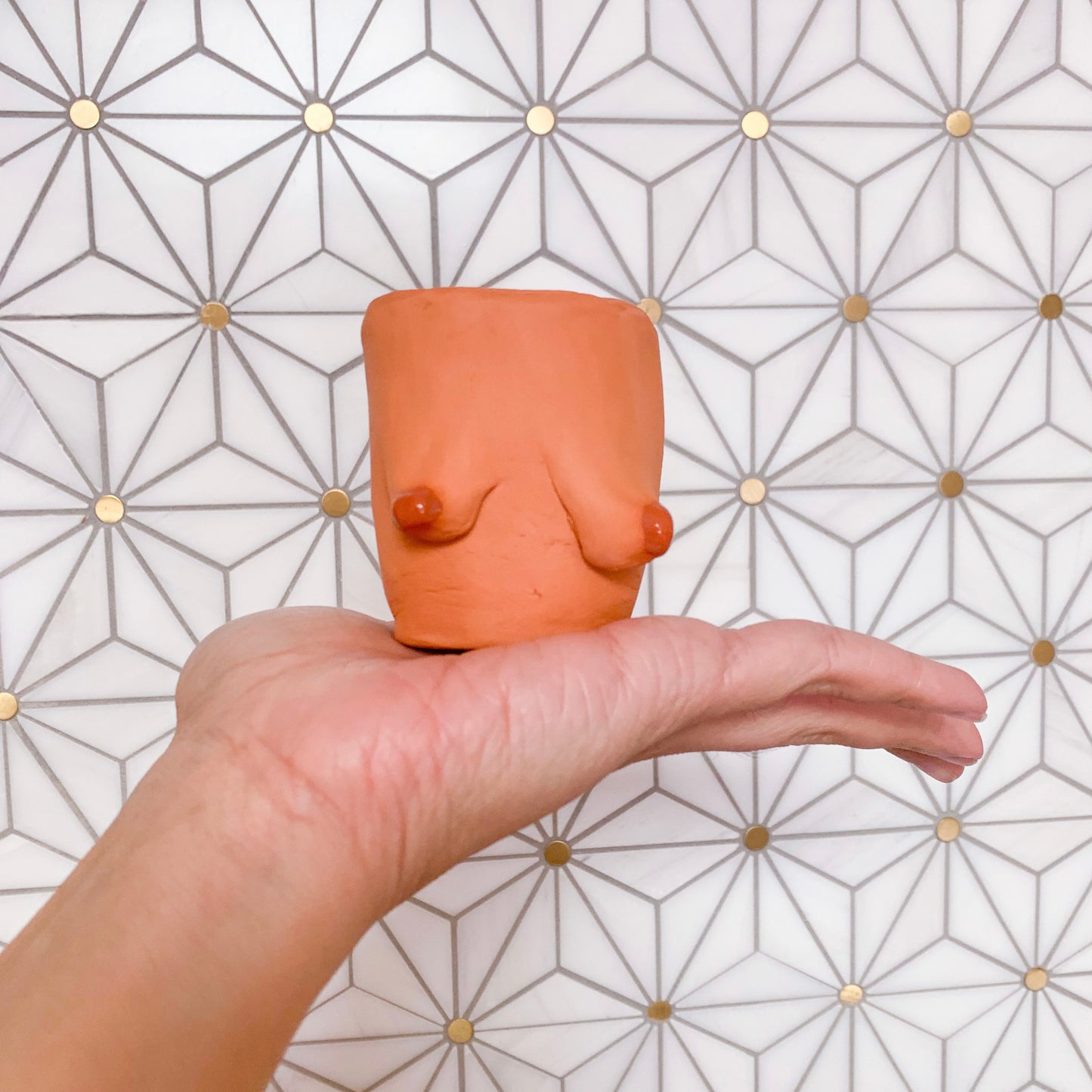 Small Boob Pots - terra cotta