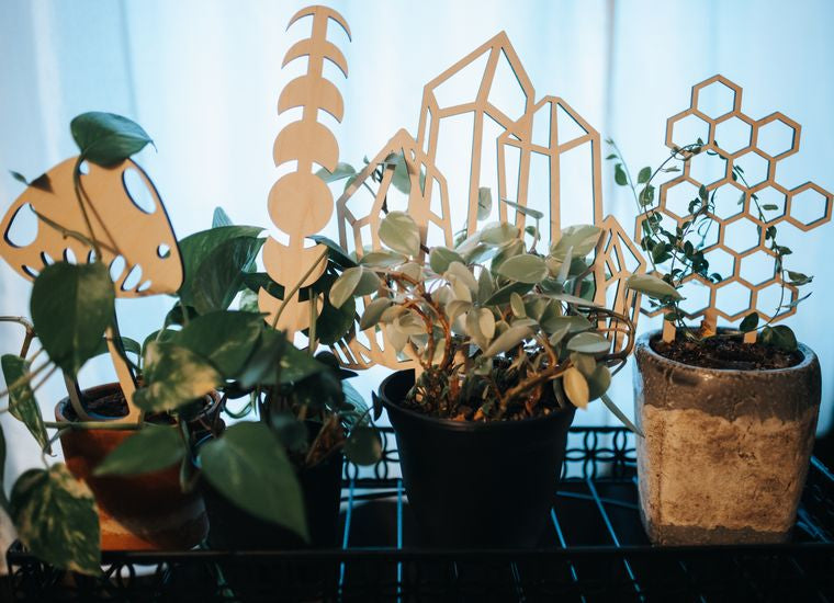 Moon Phase Plant Trellis - Multiple Sizes Available