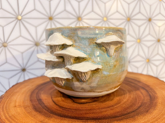 Oyster Mushroom Planter