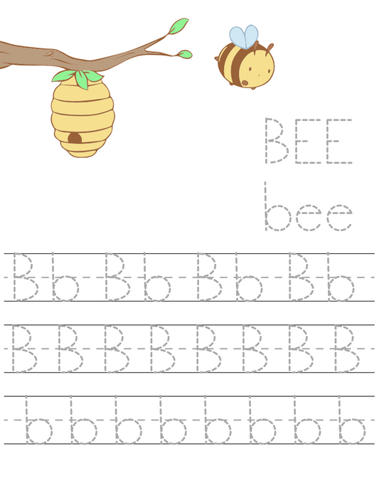 Letter B Tracing Sheet