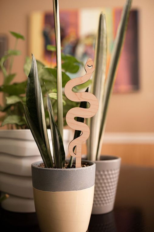 Snake Plant Trellis