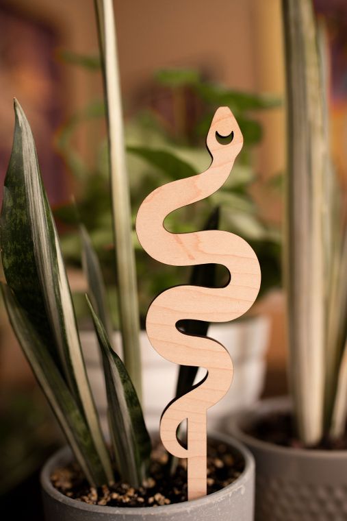 large indoor plant trellis Snake Plant Trellis – Bloome's Leather Goods
